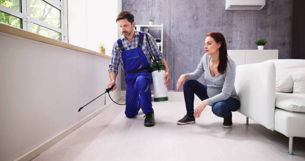 Best Real Estate Pest Inspections  in Dresser, WI